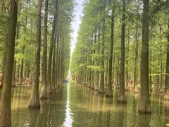 -渌洋湖湿地公园