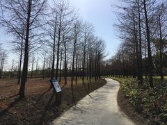 -春花秋色城市公园