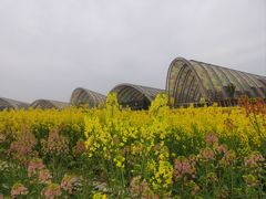 -中国天府农业博览园