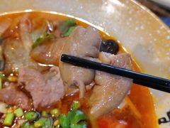 -芙蓉树下冒菜·麻辣烫(农院店)