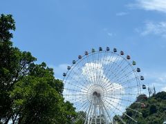 -温州乐园