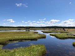 -塞罕坝国家级自然保护区