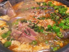 -探鱼·鲜青椒爽麻烤鱼(广州花都来又来店)