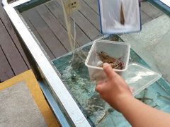 android_upload_pic-三亚海韵度假酒店·渔人码头海鲜火锅BBQ自助餐厅·落日吧