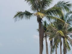 -三亚西岛海洋文化旅游区