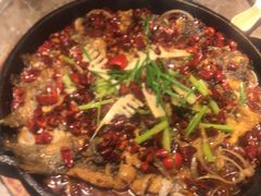 -老板恋上鱼(恒隆广场店)