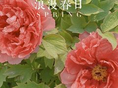 -陕西省西安植物园
