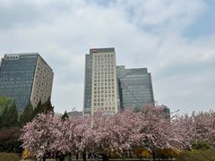 -海棠花溪(元大都城垣遗址公园)