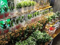 -全明星滑冰俱乐部(万象城店)