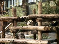 -上海野生动物园