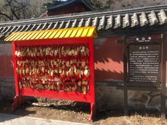 -阳台山自然风景区