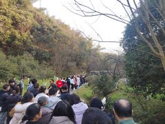 -常德桃花源景区