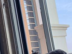 -瑞派宠物医院·24小时骨科·心脏·核磁(哈尔滨南岗店)