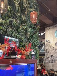 -T.1 hair salon烫染接发