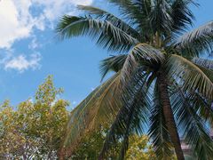 -海南清水湾莱佛士酒店