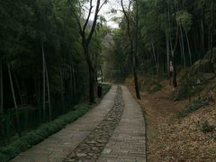 -上海佘山国家森林公园西佘山园