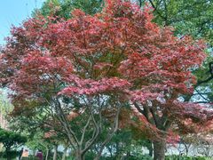 -漕河泾街道图书馆(漕河泾社区文化活动中心店)