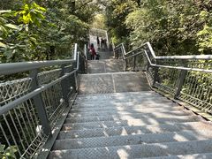 -佛山华盖山公园