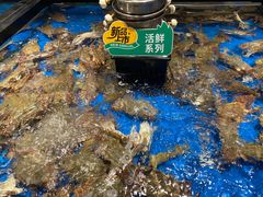 -亚马逊海鲜自助(王府井店)