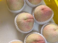 -老袁家蜜桃农场·阳山水蜜桃