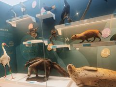 -国家自然博物馆