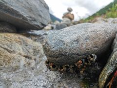 -折多山