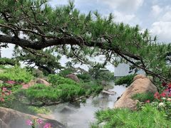 -罗红摄影艺术馆