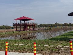-嘉北郊野公园