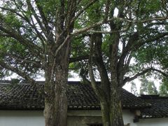 -毛泽东同志旧居