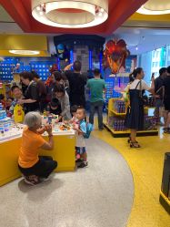 -乐高品牌旗舰店(人民广场店)