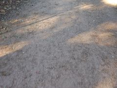 -沈阳辉山风景区