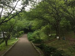 -汉拿树木园
