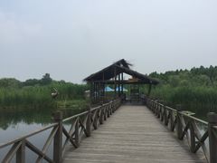 -溱湖国家湿地公园