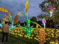 -歌斐颂巧克力小镇