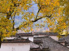 -塔川景区