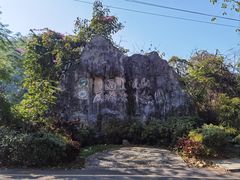 -西双版纳原始森林公园