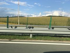 -惠友大虾(太原北街店)