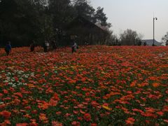 -保利石象湖景区
