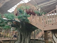 -南宫五洲植物乐园