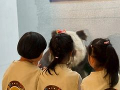 -金豆子幼稚园