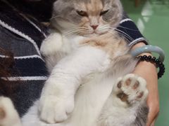 -藦茜花园宠物主题亲子互动体验馆(国顺东路店)