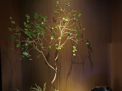 -江南足纪·影院足道·轻奢SPA(红山6979店)