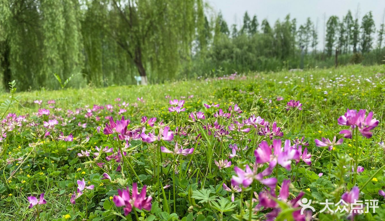 巴溪洲