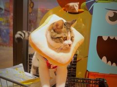 -MARSMART PETS火星宠物超市(1733店)