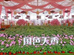 -盈香心动乐园