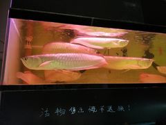 -秦美花卉(天朗·莱茵小城2期店)