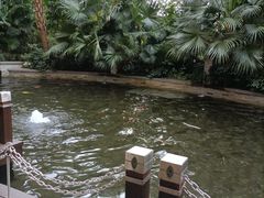 -Waterfall瀑布湾优健源(华侨城店)