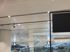 -麦当劳(北京大兴机场二层国内到达(安检外)店)