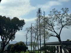 -杭州西湖柳莺里酒店·闻莺厅