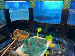 -千岛湖小鱼儿·淳安匠心农家菜